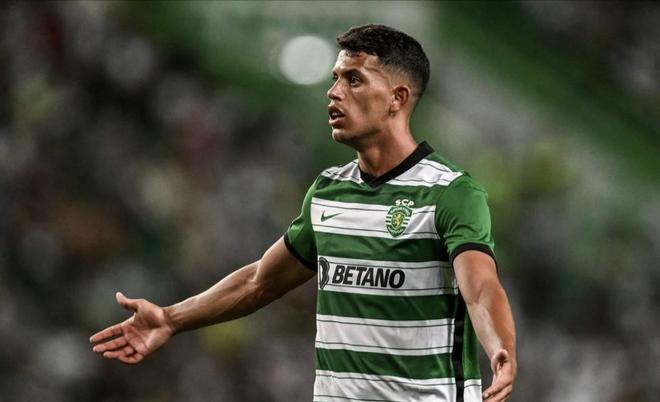 所激发出的 所激发出的